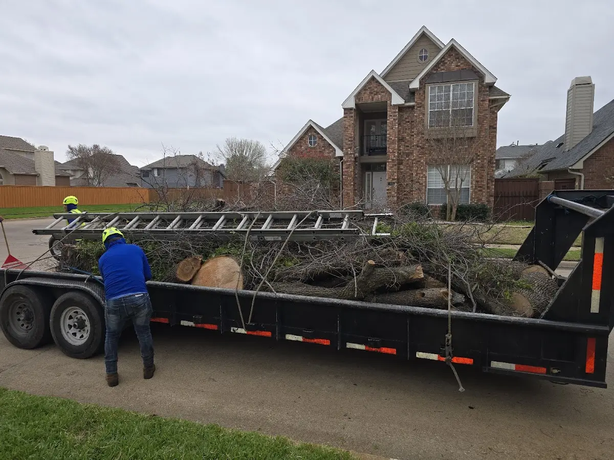Expert Tree Removal with proper safety equipment in Crawford
